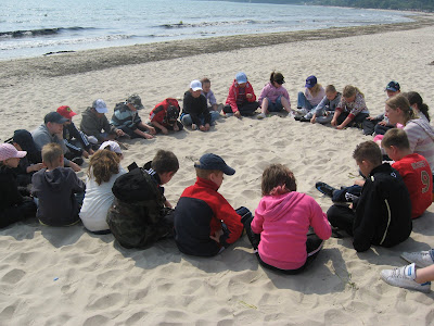 Studland Beach Sand Dunes. sand dunes and at the