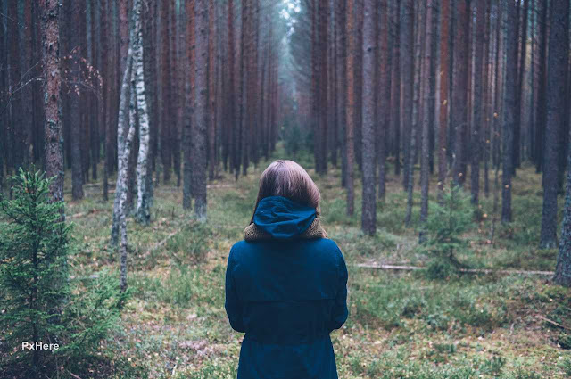 Mulher olhando a floresta.
