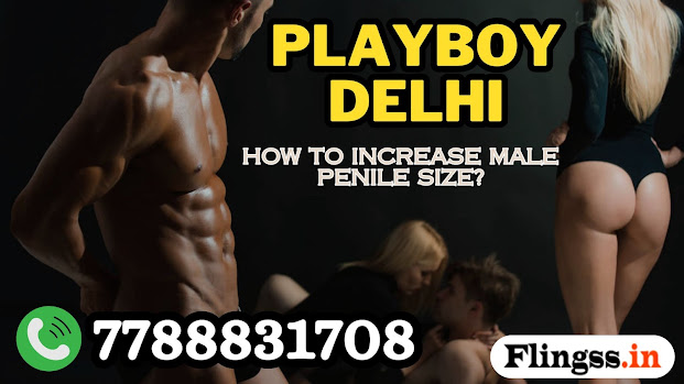 Playboy Delhi - How to Increase Male Penile Size?