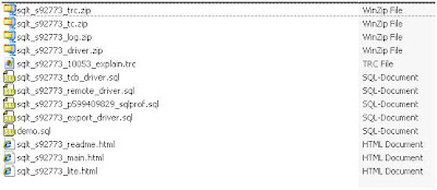 SQLTXPLAIN XPLAIN Diagnostic Report Contents