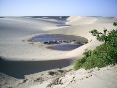 Delta do Rio Parnaiba Piauí Brasil