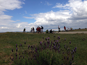 Unas fotos de nuestra ruta de Ávila a El Escorial - Junio 2013