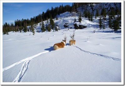 bilde (7)