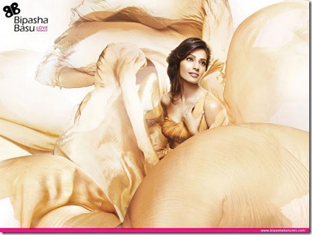 Bipasha Basu's hot photoshoot for Dicitex Furnishings4