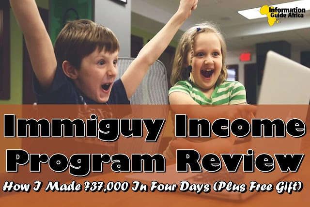 Immiguy Income Program Review