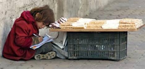 وزارة التعليم العالي/وزارة التربية الجزائر