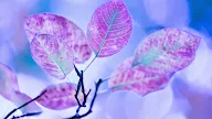 wallpaper hd zedge Zedge wallpapers hd collections