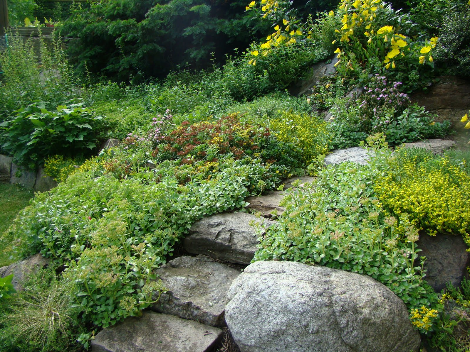 Home Rock Garden Ideas