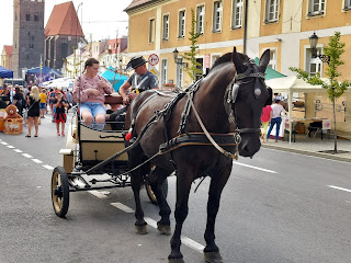 Bryczka z koniem