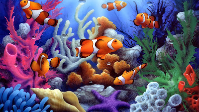 Underwater coral free fish wallpaper