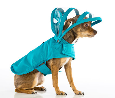 Rainbow Collection Dog Raincoat- Teal