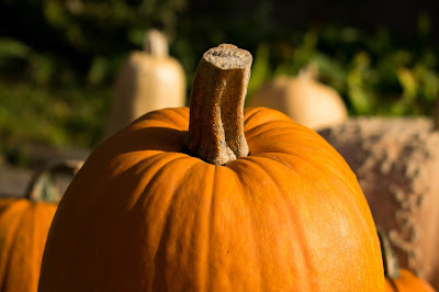 photo of pumpkin by Arnaud Weyts on Unsplash