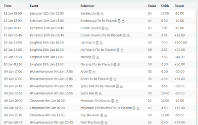 UK Horse Racing Tips Results for Goal Trader Syndicate