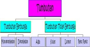 Dunia Sains: Tumbuhan berbunga dan tidak berbunga