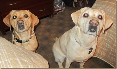 Wendy and Tamera sitting together looking up at me.