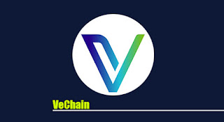 VeChain, VET coin