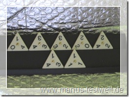 Triominos aufgebaut