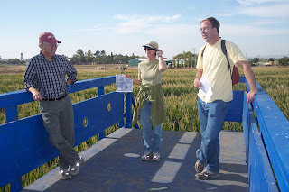 Cool Patch Pumpkins Corn Maze