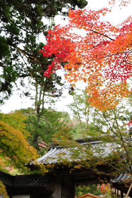 西明寺