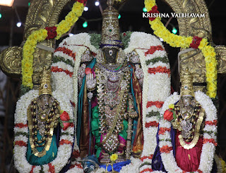 Vaikunta, Ekadesi,Paramapatha Vasal,Dharisanam, Sri PArthasarathy Perumal, Perumal, Venkata Krishna , Varushotsavam, 2017, Video, Divya Prabhandam,Triplicane,Thiruvallikeni,Utsavam,