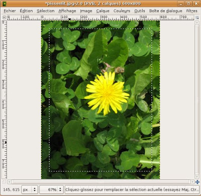 gimp sélection cadre