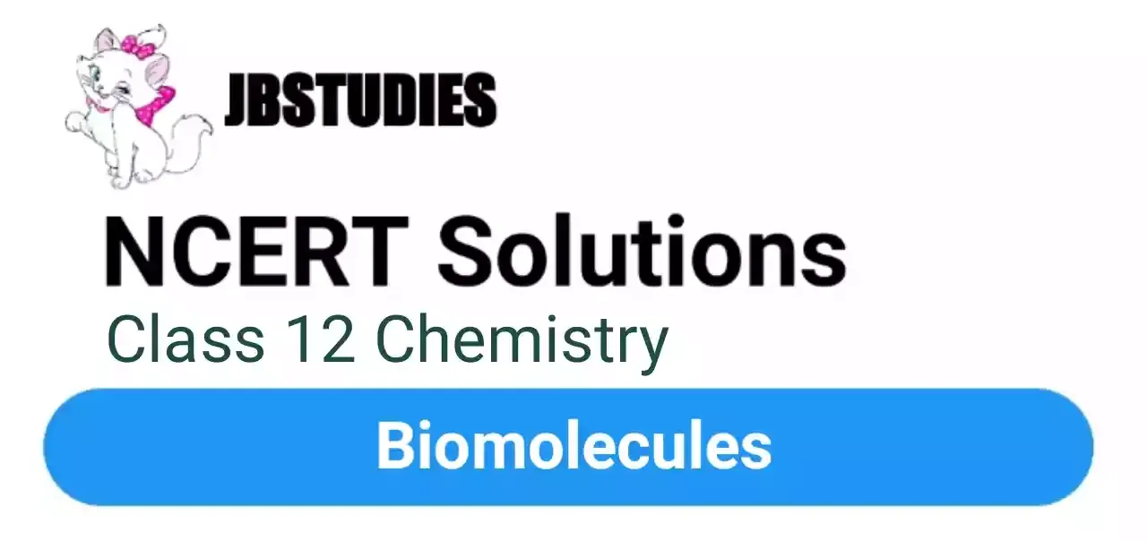 Solutions Class 12 Chemistry Chapter-14 (Biomolecules)