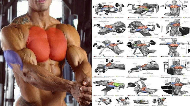Chest And Triceps Superset Workout Programme