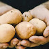  Παράνομες ελληνοποιήσεις: «Προσοχή! Δεν υπάρχουν κρητικές πατάτες στην αγορά», προειδοποιούν οι παραγωγοί