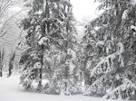 snowicane