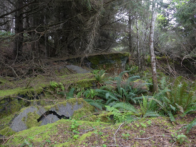 large level changes along the road