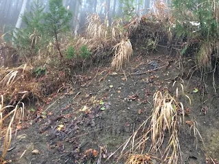 秋田県平鹿郡山内村南郷 南郷鉱山