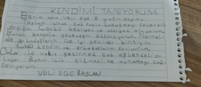 VELİ EGE BAYLAN