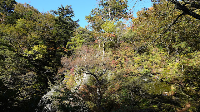 鳥取県西伯郡大山町大山 大神山神社奥宮 参道 金門