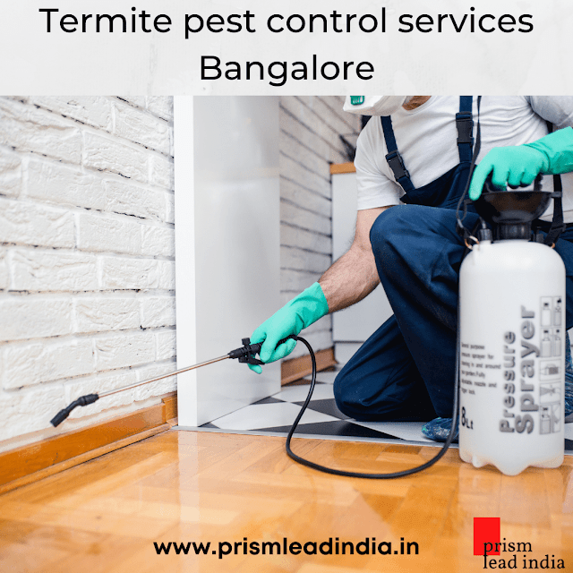 Termite Pest Control Services Bangalore