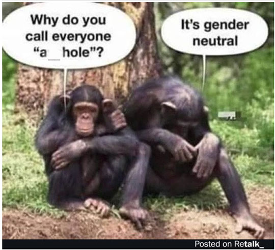 Primates on achieving language gender neutrality (Source: Post on Retalk, submitted by a blog reader)