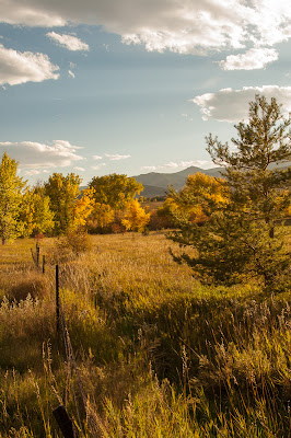 Denver Botanic Gardens at Chatfield