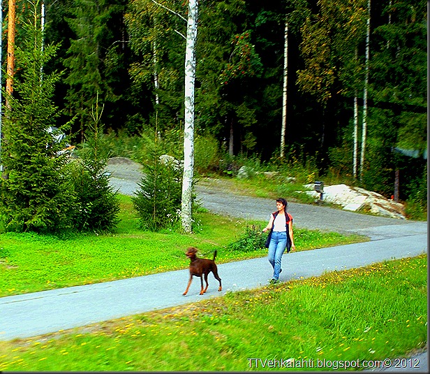 eteläranta pori seikku 027