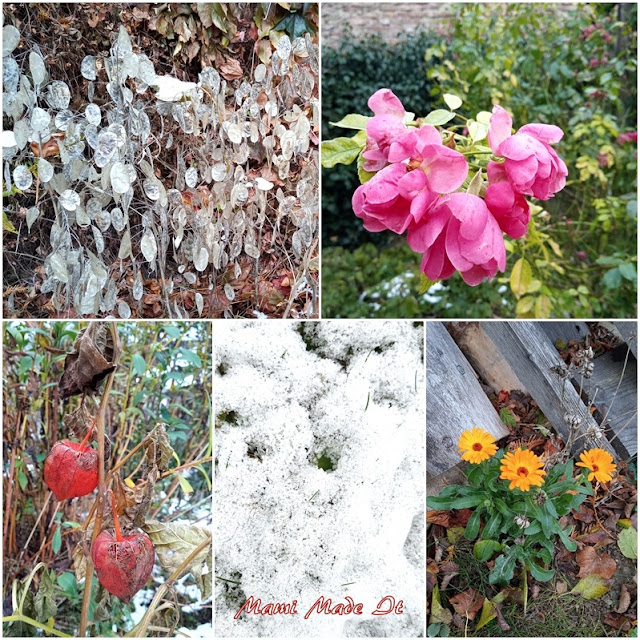 Mein Garten im November - My Backyard in November