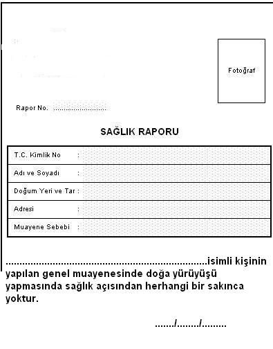 Sağlık raporu örneği