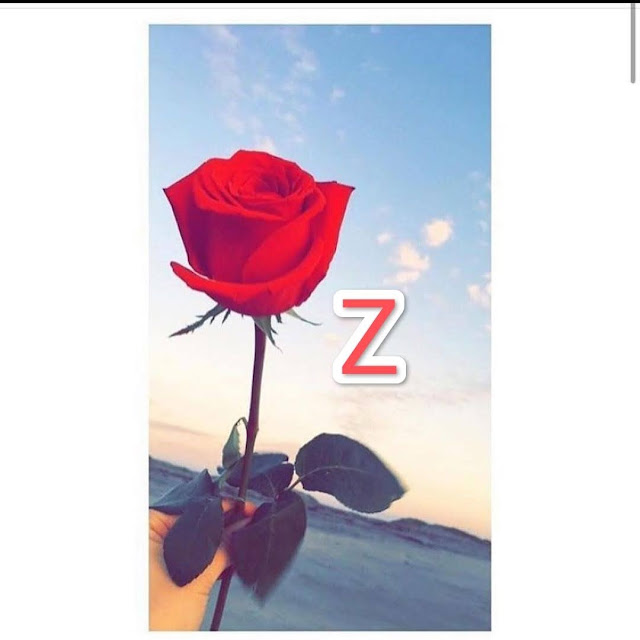 20+ Z Letter Alphabet Dpz For Whatsapp Insta Fb HD Download