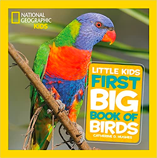 national geographic kids books, nat geo kids, bird books