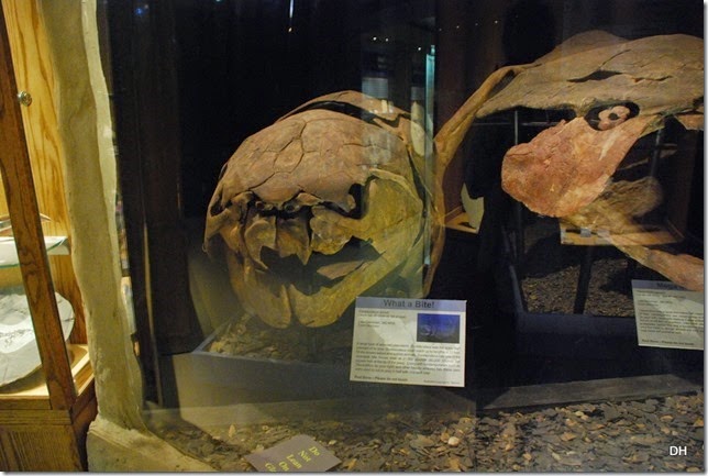 07-12-14 B Wyoming Dinosaur Center (77)