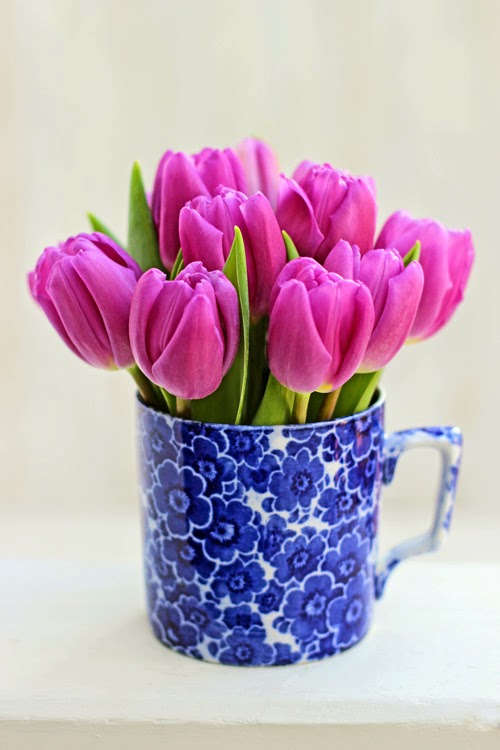 Pink Tulips in a Cup