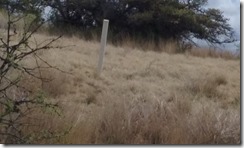 20160410_090222