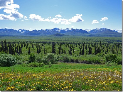 Chugach Mountain Range, Glenn Highway between Glennallen and Palmer