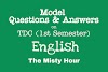 TDC 1st Semester English Question Answer (GU) - The Misty Hour - (General)