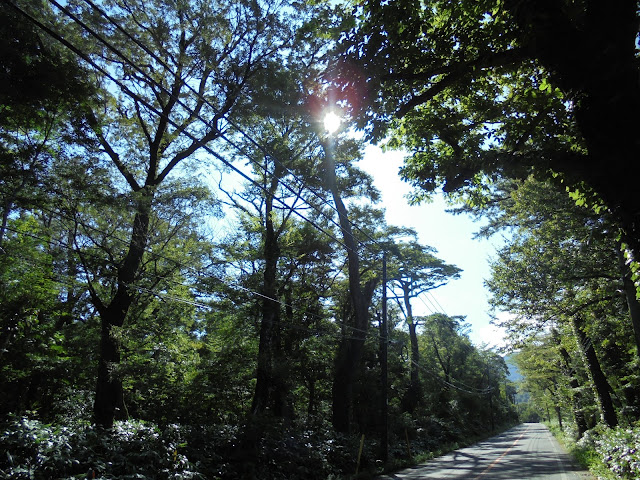 158号道路大山口停車場大山線を昇ります