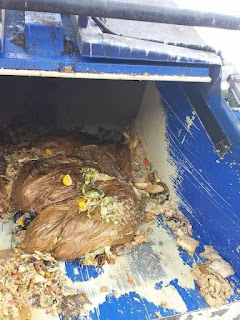 Basureros que estaban a punto de transportar basura, encontraron un gatito moribundo tirado dentro de su camión