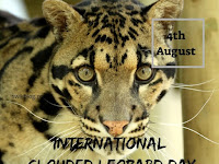 International Clouded Leopard Day - 04 August.