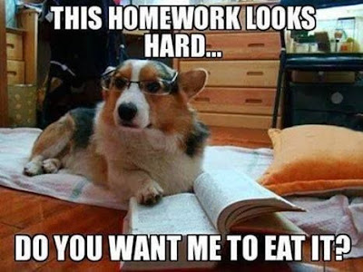 Dog Humor : This Homework looks hard?